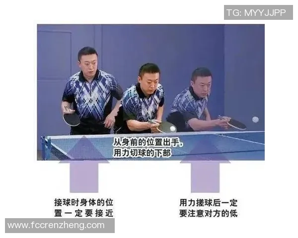 乒乓球专题：深入分析杭州乒乓球队员的技术特点与个人能力提升之路